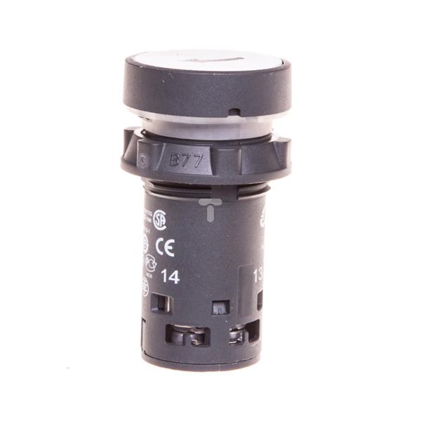 Przycisk sterowniczy 22mm biały z samopowrotem 1Z XB7NA11341
