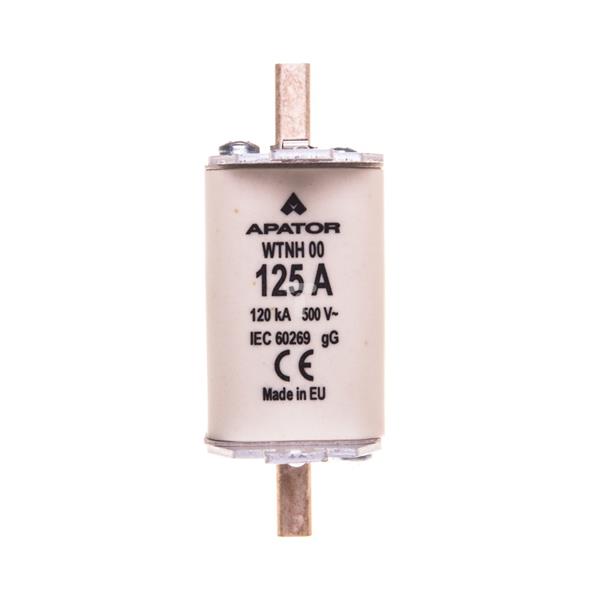 Wkładka bezpiecznikowa NH00 125A gG 500V WT-00 1115282114T