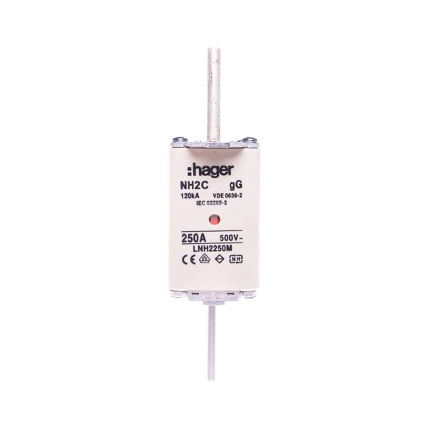Wkładka bezpiecznikowa NH2C 250A 500V gG LNH2250M