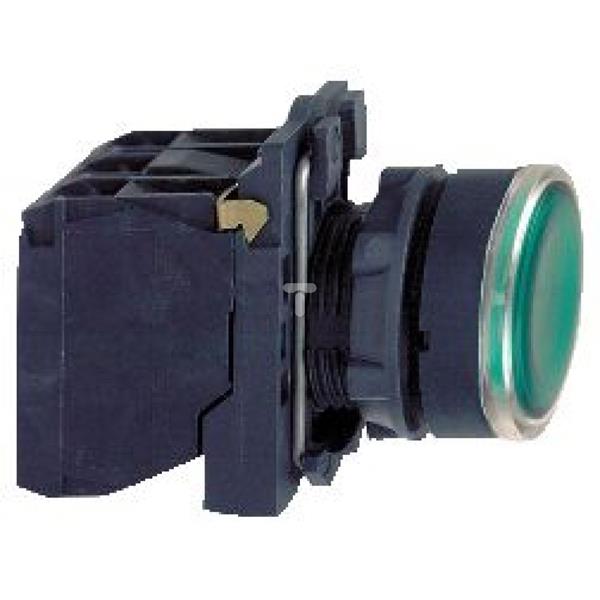 Przycisk sterowniczy podświetlany ziel. kryty O 22 z sam. powr., 110...120V, 1NO+1NC XB5AW33G5