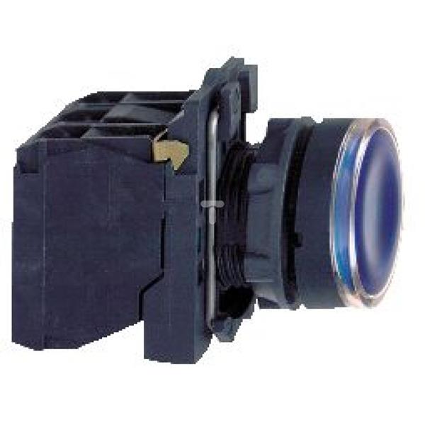 Przycisk sterowniczy podświetlany nieb. kryty O 22 z sam. powr., 120 V, 1NO+1NC XB5AW36G5