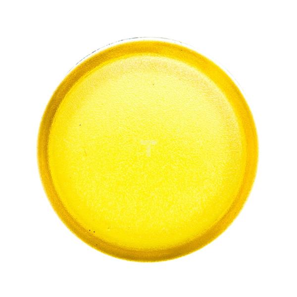 Lampka sygnalizacyjna z ramką, metal żółta P9MLGD 184793