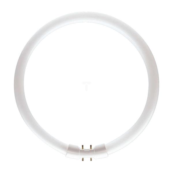 Świetlówka kołowa MASTER TL5 Circular 22W/827 1CT/10 8711500642196