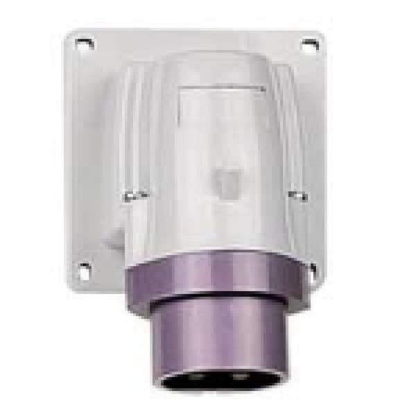 Wtyczka odbiornikowa 2P 32A 24V IP44 P17 TEMPRA 055291