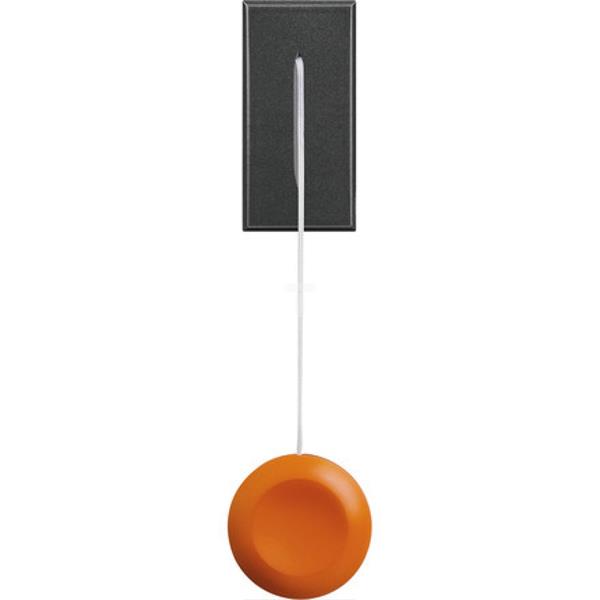 AXOLUTE Przycisk z cięgnem 1P 1M 10A 250V antracyt HS4033