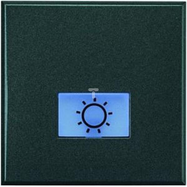 AXOLUTE Przycisk /światło/ 10A 250V /zaciski śrubowe/ antracyt HS4043/2