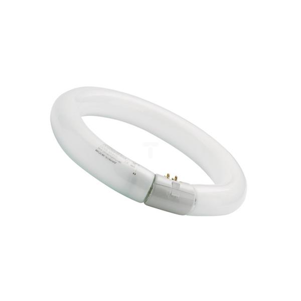 Świetlówka kołowa G10q Fc32/865 T9 circline plus 0001965