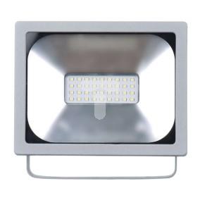 Projektor LED PROFI 20W 1600lm 4000K IP65 szary ZS2620