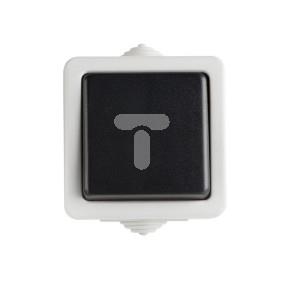 TEKNO Łącznik jednobiegunowy śrubowy 10AX 250V czarny 5905339253484 25348