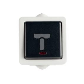 TEKNO Łącznik jednobiegunowy z LED śrubowy 10AX 250V czarny 5905339253538 25353