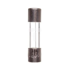 Wkładka aparatowa 5x20mm 5A F /szybka/ 250V 006710024 /10szt./