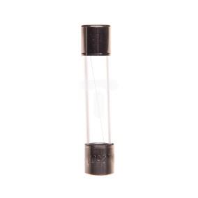 Wkładka aparatowa 6,3x32mm 1A F /szybka/ 250V 006710072 /10szt./