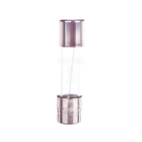 Wkładka aparatowa 5x20mm 6,3A T /zwłoczna/ 250V 006710054 /10szt./