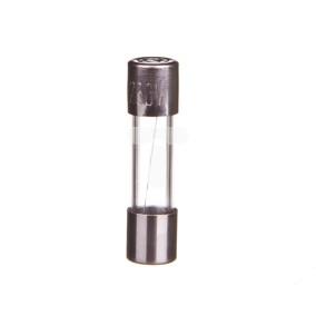 Wkładka aparatowa 5x20mm T 250V AC 0,63A L520TK00-630 /10szt./