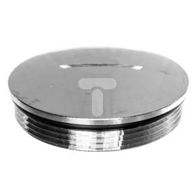 Zaślepka mosiężna PG36 IP68 SKINDICHT BL 36 z O-ring 54001650