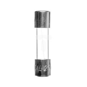 Wkladka aparatowa 5x20mm 1,6A T /zwłoczna/ 250V 006710048 /10szt./
