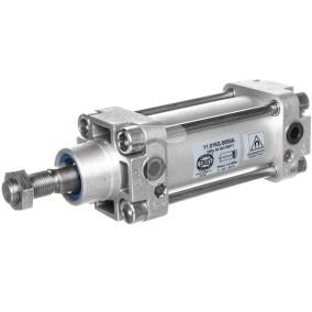 Siłownik pneumatyczny ISO D 50x050 BSPT 11.016G.0050A