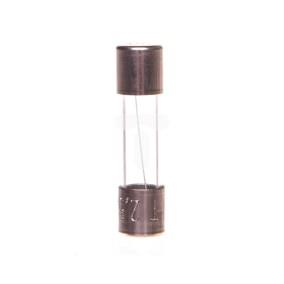 Wkładka apartowa zwłoczna T5020D 5x20 mm 2,5A  L520TG02-500 /10szt./