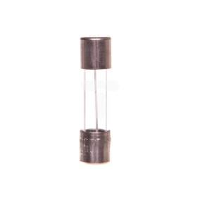 Wkładka aparatowa 5x20mm T 250V 0,063A L520TK00-063 /10szt./