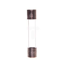 Wkładka aparatowa zwłoczna T 6322K 6,3x32mm 0,1A L6332TK00-100 /10szt./