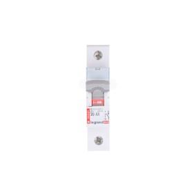 Rozłącznik modułowy 20A 1P FR301 004309/406401