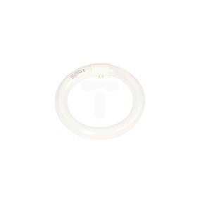 Świetlówka kołowa G10q 22W 840 4000K L22W/840C 4008321581082