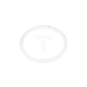 Świetlówka kołowa G10q 40W 840 4000K TLE 8711500284747
