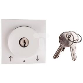 Berker S.1/B.3/B.7 Glas Element centralny łącznika żaluzjowego na klucz śnieżnobiały 10818989