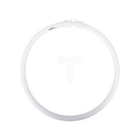 Świetlówka kołowa 2GX13 40W 830 3000K 40W/830 CIRCULAR TL5 8711500640970
