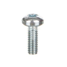 Wkręt Torx screw T30 (M6x16) NSYST30M6