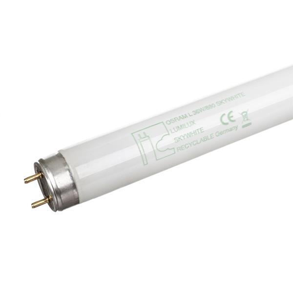 Świetlówka G13 36W 880 8000K L36W/880 SKY 4008321002976