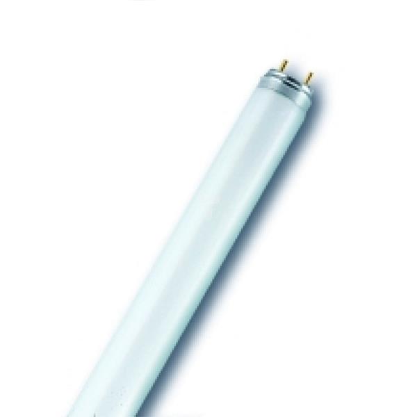 Świetlówka G13 36W 827 2700K L36W/827-1 4050300518114