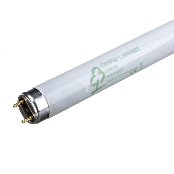 Świetlówka G13 30W 865 6500K L 30 W/865