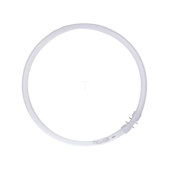 Świetlówka kołowa 2Gx13 40W 840 4000K LUMILUX T5 FC 4050300528526