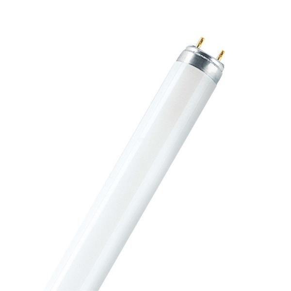 Świetlówka G13 58W 840 4000K L 58W/840 T8 LUMILUX XXT 4008321923783