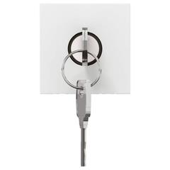 MOSAIC Wyłącznik na klucz /2moduły/ biały 076630