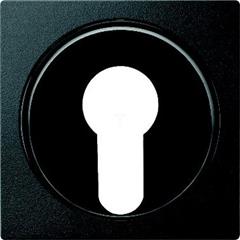 Płytka centralna 2poz. przełącz. kluczyk. z zamk. cylindr. DIN, antracyt, Sys M MTN318114