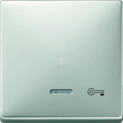 Klawisz z lampką sygnalizacyjną i oznaczeniem „klucz”, stal, Artec/Antique MTN437646