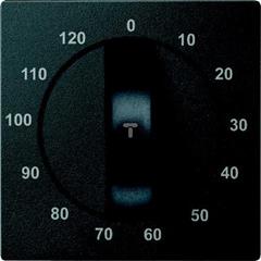 Płytka centralna mechanizmu łącznika czasowego, 120min, antracyt, system M MTN539214