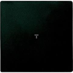 Płytka sensor. CONNECT z odbior. radiow. do mechan. ściemn., antracyt, Sys M MTN502614