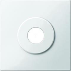 Płytka centralna mechanizmu przełącznika kluczykowego, B.P, P, Sys M MTN312919