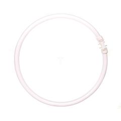 Świetlówka kol. 2GX13 55W/840 Circular Super 80 Pro TL5  PH 8711500642516