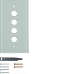 Berker TS Plakietka centralna szklana poczwórna P1394 (wyk. spec.)