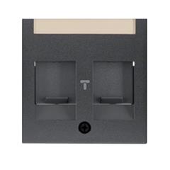 Berker B.1/B.3/B.7 Glas Element centralny podwójny z zasuwami chroniącymi przed kurzem z polem opisowym antracyt 11811606