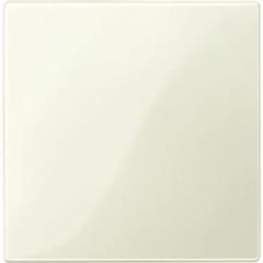 Płytka sensor. CONNECT z odbior. radiow. do mechanizmów ściemniaczy, B, P, Sys M MTN503644