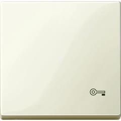 Klawisz z oznaczeniem /klucz/ biały, połysk, system M MTN3303-0344