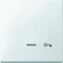 Klawisz z lampką sygnalizacyjną i oznaczeniem /klucz/ B.P, Artec/Antique MTN437619