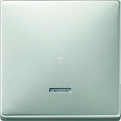 Klawisz z lampką sygnalizacyjną, stal szlachetna, Artec/Antique MTN438046