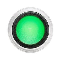 Przycisk płaski podświetlany z ramką zielony P9MPLVGD 184492