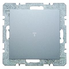 Berker/B.1/B.3/B.7 Glas Zaślepka z elementem centralnym aluminium 10091404